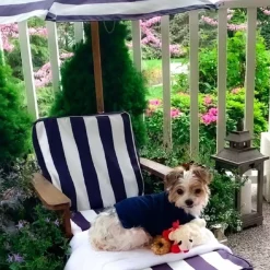 Outdoor Kids' Chairs^KidKraft Outdoor Chaise With Umbrella - Navy